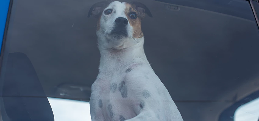 Car Lockout Solutions in Alhambra, California